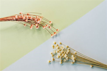 北京教师资格面试中,考官青睐这三种考生,你在其中吗